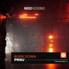 PRNV - Burn Down