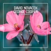 David Novacek & George Cooper - Aguardiente (Extended Mix)