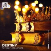 Thyron feat. MC Activate - Destiny (Extended Mix)