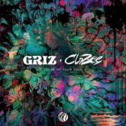 GRiZ & Clozee - Color Of Your Soul