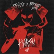 Ray Ray & Red Hood Squad - Harsh