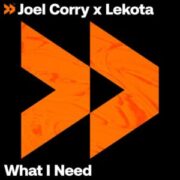 Joel Corry x Lekota - What I Need