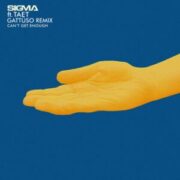 Sigma feat. Taet - Can't Get Enough (GATTÜSO Remix)