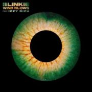 Blinkie - Wind Blows (feat. Izzy Bizu)