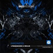 Lynxbangerz & Revlin - Madness
