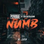 Harris & Ford x DJ Gollum - Numb