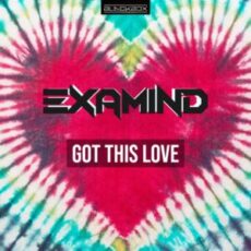 Examind - Got This Love