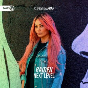 Raiden - Next Level
