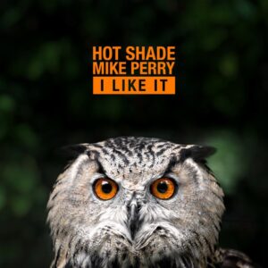 Hot Shade & Mike Perry - I Like it
