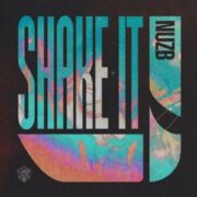 NUZB - Shake It (Extended Mix)
