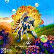 Will Sparks & New World Sound - LSD