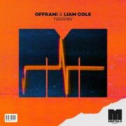 offrami & Liam Cole - Trippin' (Original Mix)