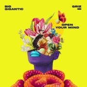 Big Gigantic & GRiZ - Open Your Mind