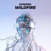 Dynoro - Wildfire