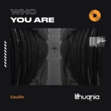 Gaullin - Who You Are
