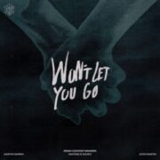 Martin Garrix - Won't Let You Go (Jack & James Extended Remix)