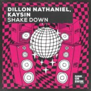 Dillon Nathaniel, Kaysin - Shake Down (Extended Mix)