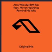 Amy Wiles & Matt Fax - Remind Me Why (Extended Mix)