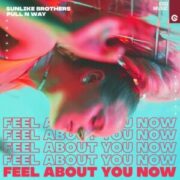Sunlike Brothers & Pull N Way - Feel About You Now (Extended Mix)