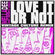 Mella Dee feat. Infinite Coles - Love It or Not (Vintage Culture Remix)