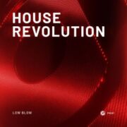 Low Blow - House Revolution (Extended Mix)