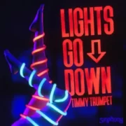 Timmy Trumpet - Lights Go Down (Original Mix)