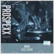 Druid - Bass Sound
