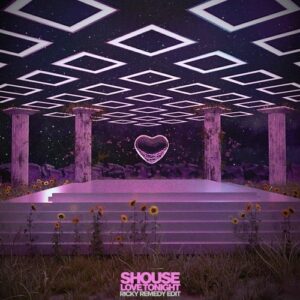 Shouse - Love Tonight (Ricky Remedy Edit)