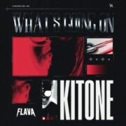 Kitone - What's Going On (Extended Mix)