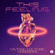 Vintage Culture & GOODBOYS - This Feeling