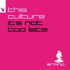 This Culture - It's Not Too Late (Extended Mix)