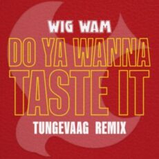 Wig Wam - Do Ya Wanna Taste It (Tungevaag Remix)