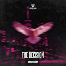 Insurgent - The Decision