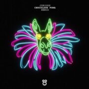 Wiwek feat. Watch the Duck - Curious (Chocolate Puma Extended Remix)
