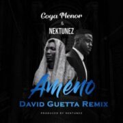 Goya Menor & Nektunez - Ameno Amapiano (You Wanna Bamba) (David Guetta Extended Remix)