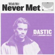Dastic - Wish We Never Met (feat. Amanda Collis)