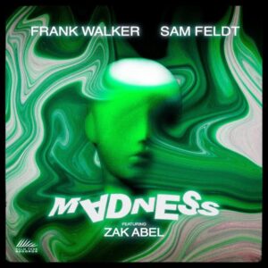 Frank Walker & Sam Feldt - Madness (feat. Zak Abel)
