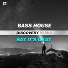 Bass house - Say It's Okay