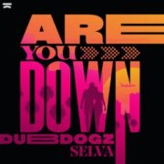 Dubdogz x Selva - Are You Down (Extended Mix)