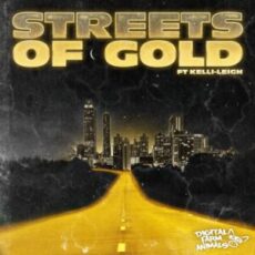 Digital Farm Animals - Streets Of Gold (feat. Kelli-Leigh)