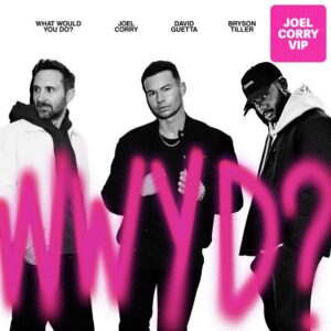David Guetta & Joel Corry - What Would You Do? (Joel Corry Extended VIP Mix)