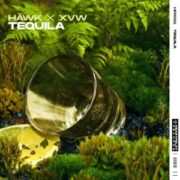 HÄWK x XVW - Tequila (Extended Mix)