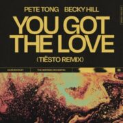 Pete Tong & Becky Hill - You Got The Love (Tiësto Extended Remix)