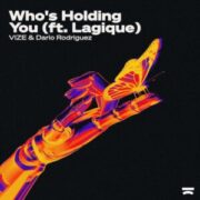 VIZE & Dario Rodriguez feat. Lagique - Who's Holding You (Extended Mix)