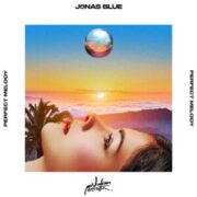 Jonas Blue - Perfect Melody (feat. Julian Perretta)