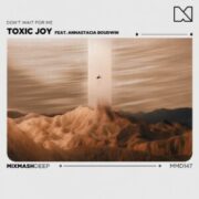 Toxic Joy feat. Annastacia Boudwin - Don't Wait For Me (Extended Mix)