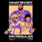 What So Not - Mr Regular (feat. Oliver Tree & Killer Mike)