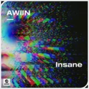 Awiin - Insane (Original Mix)