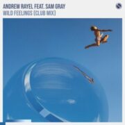 Andrew Rayel feat. Sam Gray - Wild Feelings (Extended Club Mix)