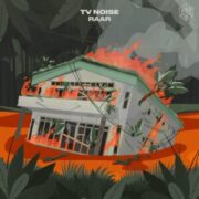TV Noise - Raar